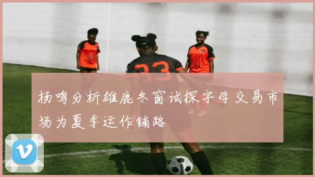 杨鸣分析雄鹿冬窗试探字母交易市场为夏季运作铺路